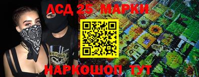гидропоника Новозыбков