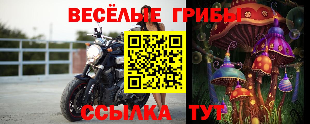 Чебаркуль  Галлюциногенные грибы MAGIC MUSHROOMS  купить   Псилоцибиновые грибы ЛСД  Вход с VPN 